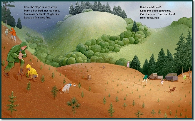Hilly terrain being planted with trees.